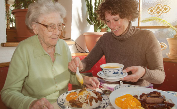Aide à domicile et services à la personne âgée à Massy par Petits-fils Aide à domicile et services à la personne âgée à Massy par Petits-fils